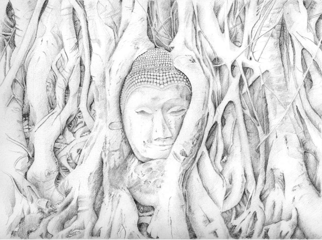 Buddha head in tree, Ayutthaya